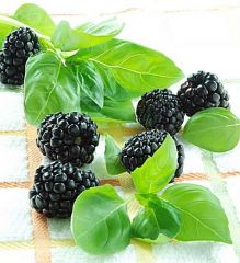 Blackberry & Basil Parfümöl - Für weitere Informationen anklicken
